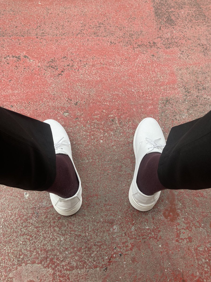 tornavida21's tweet image. agustos bocegi ve karinca hikayesini bilir misiniz #fabl