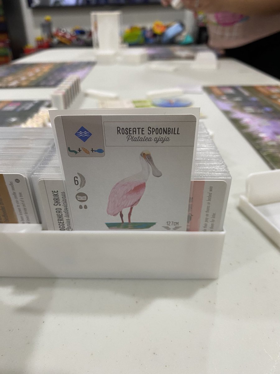 Doing our best <a href="/samreich/">Sam Reich</a> impression: “Rosate Spoonbill. Rosate. Spoonbill.”