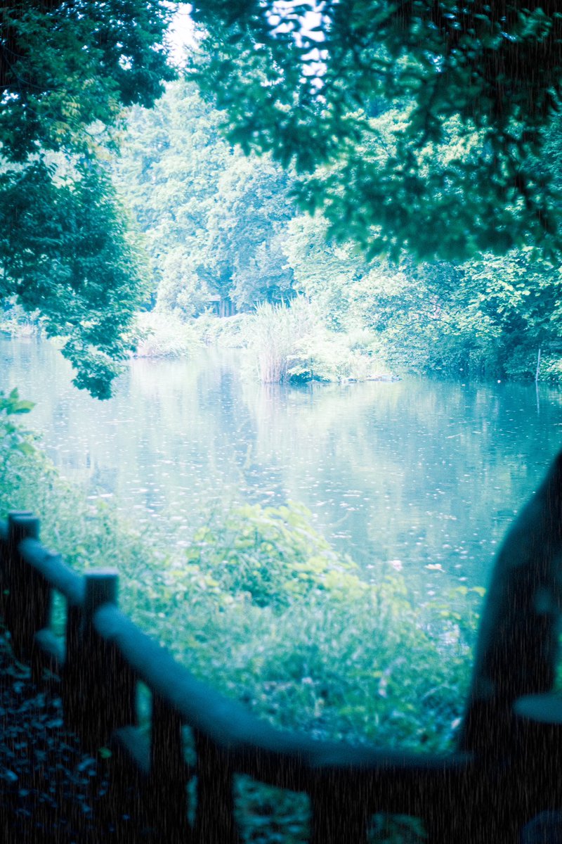 untilthefalling's tweet photo. 夏を待っています https://t.co/wzEoPstaA7