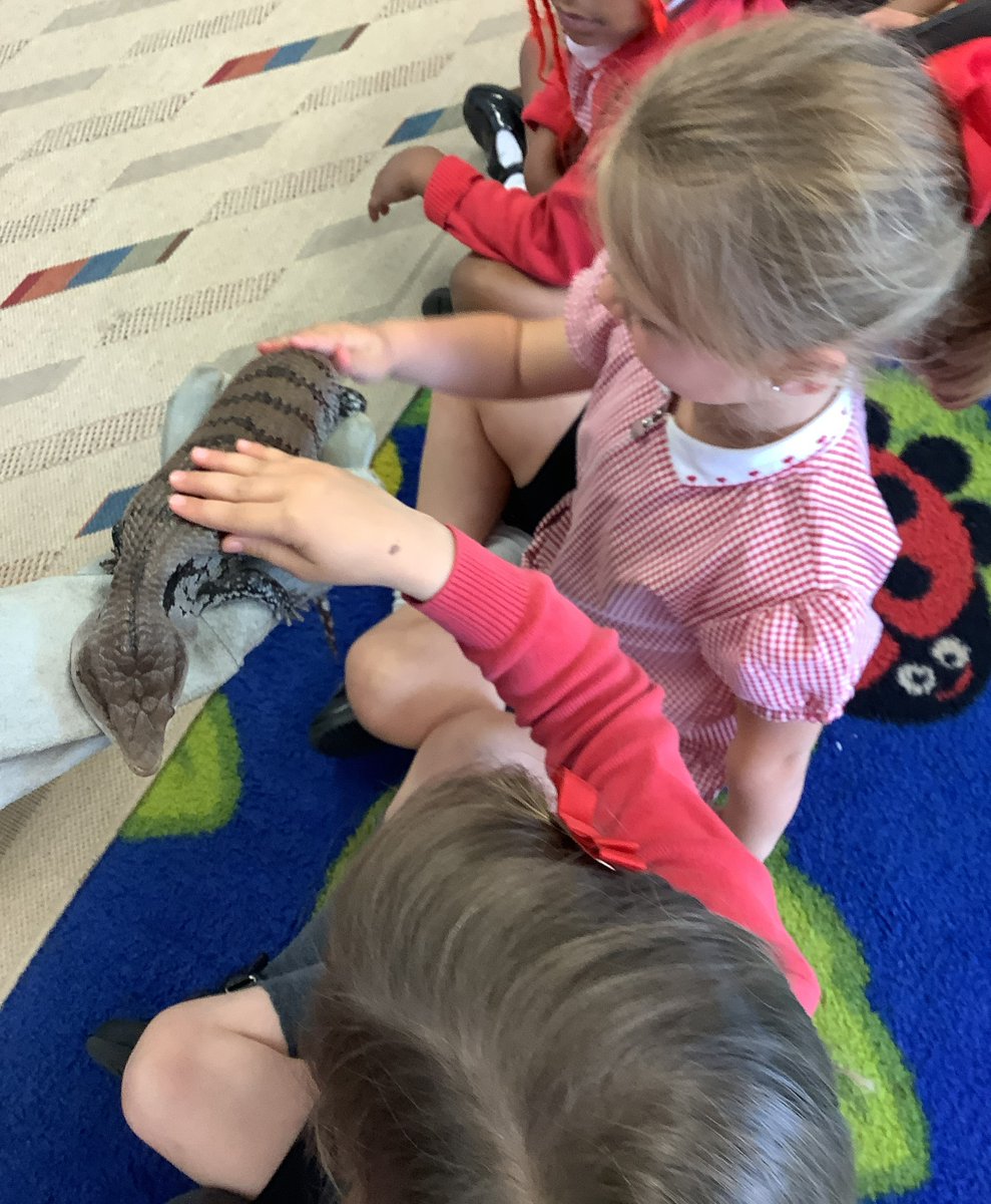 ourFAB_EYFS's tweet photo. EYFS had a fantastic visit from the 'Bug Man'. They got to meet a Tortoise, Blue Skink Lizard, Tarantula, African Snails, Snake and more! 🐢🦎🐍🕷️🐌 @trustilluminate @ourFABschool https://t.co/6UYa7YyT2U