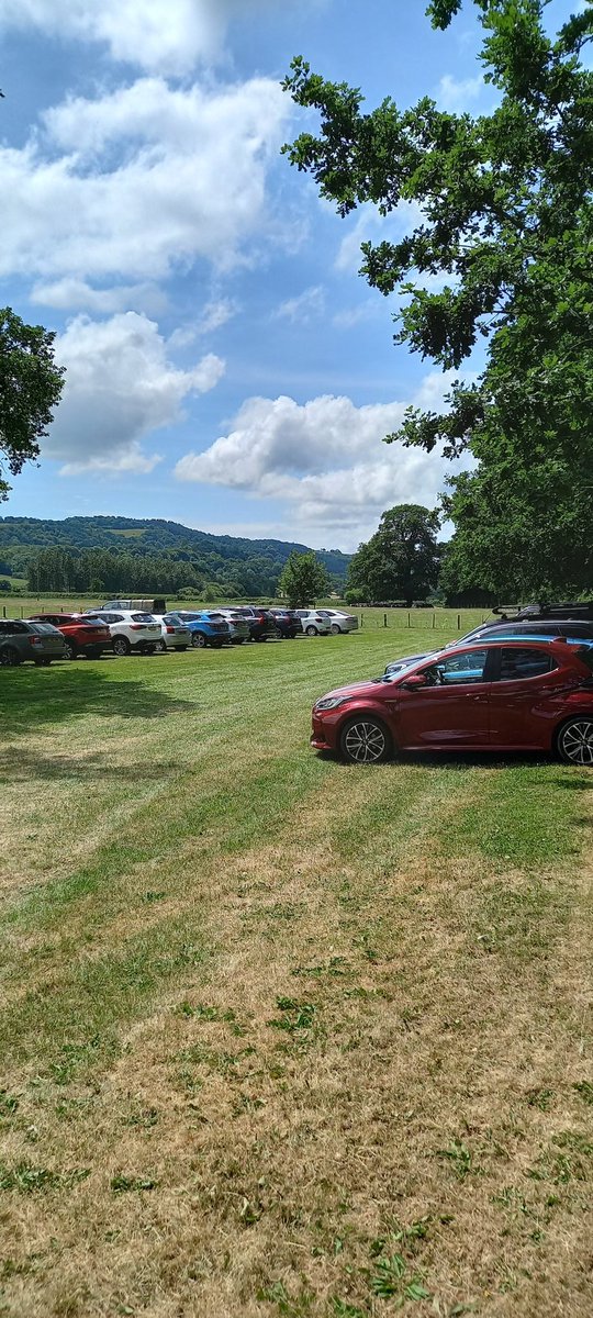 Mike Williams tweet media