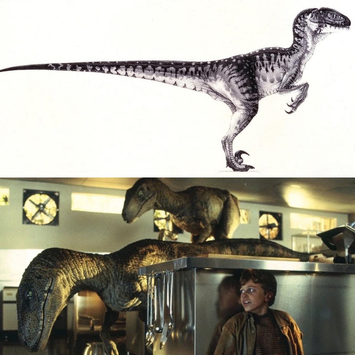 thejurassicmag's tweet photo. Happy 30th anniversary, Jurassic Park! 

#JurassicWorldDominion #dinosaurs #paleoart #jurassic #animals #nature #dino #dinosaur #fossil #paleontology #paleontologist #jurassicpark #jurassicworld #Tyrannosaurus #TyrannosaurusRex #Trex #Rex #Rexy #Giganotosaurus #Giga 

🦖❤️🦕 https://t.co/6xCTAqV3dT