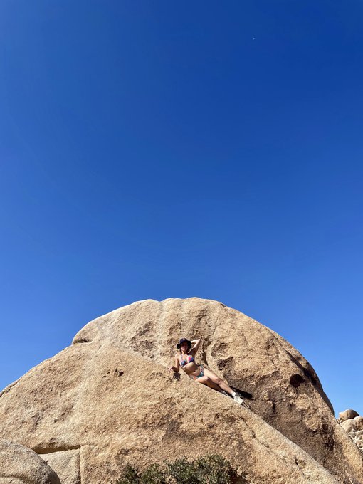 Just a lil lizard ☀️🦎🌵 https://t.co/W8UjDQyChf<a href="/tag/mvsales"class="tags"><span>#mvsales</span></a>