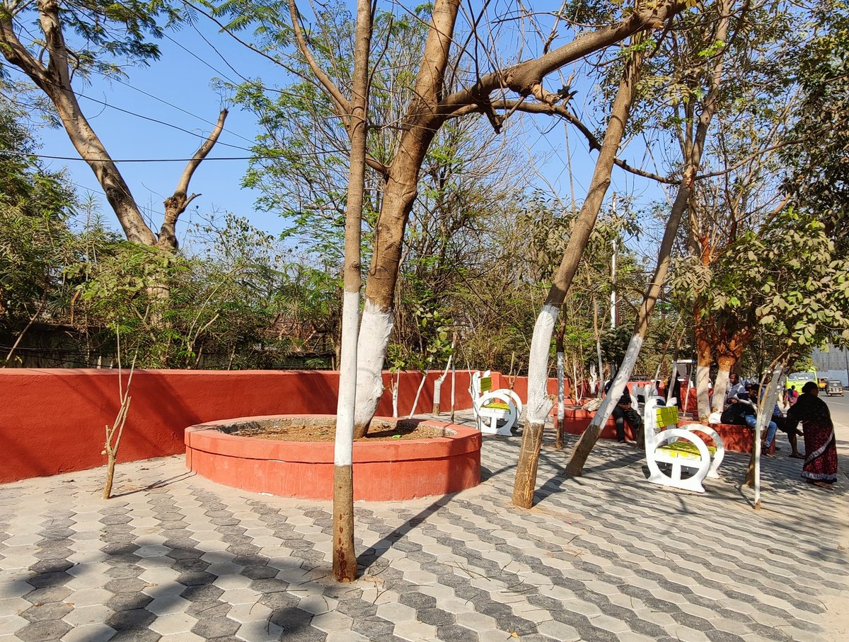 tweetsofmona's tweet photo. Beautification is ok but what's the logic behind covering the main part of the tree with concrete. This has been done at #FireStation &amp; #Bermunda. Concretisation is not a solution,  soil is also important for #greenary &amp; #waterabsorption.

#GreenBBSR
@bmcbbsr @Sulochana_Apa https://t.co/oBMqeb4lDm