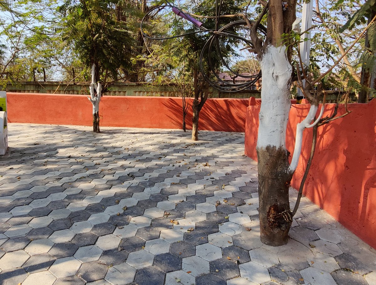 tweetsofmona's tweet photo. Beautification is ok but what's the logic behind covering the main part of the tree with concrete. This has been done at #FireStation &amp; #Bermunda. Concretisation is not a solution,  soil is also important for #greenary &amp; #waterabsorption.

#GreenBBSR
@bmcbbsr @Sulochana_Apa https://t.co/oBMqeb4lDm