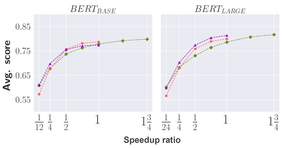 Daniel Rotem tweet media