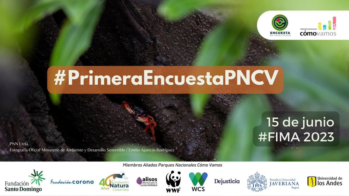 WCSColombia's tweet image. ¿Quieres saber cuántos de los colombianos que encuestamos saben para qué sirven los Parques Nacionales Naturales🏞️?

Conoce esta y más respuestas de la #PrimeraEncuestaPNCV 📄el próximo 15 de junio, a las 11:00 am, en #FIMA 2023 🌿