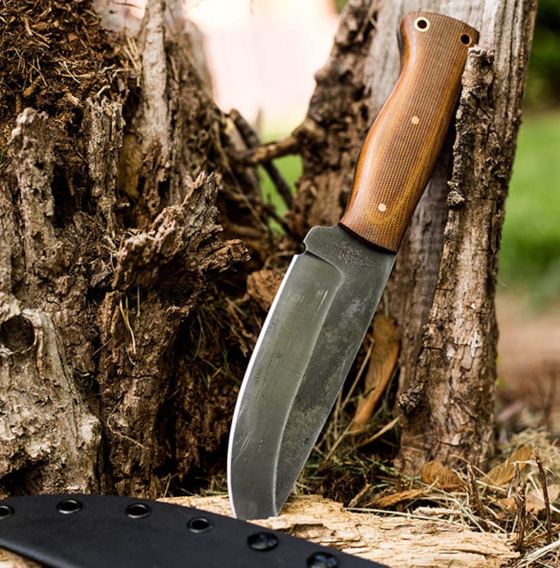 knifecraft2's tweet photo. Custom bushcraft knife 🔪🔪
Inbox us for order 🔪🔪
#knife #texas #Camping #hinking 
Visit my website link ⬇️⬇️
https://t.co/sHwkxTkNrN https://t.co/OMpqstyztl