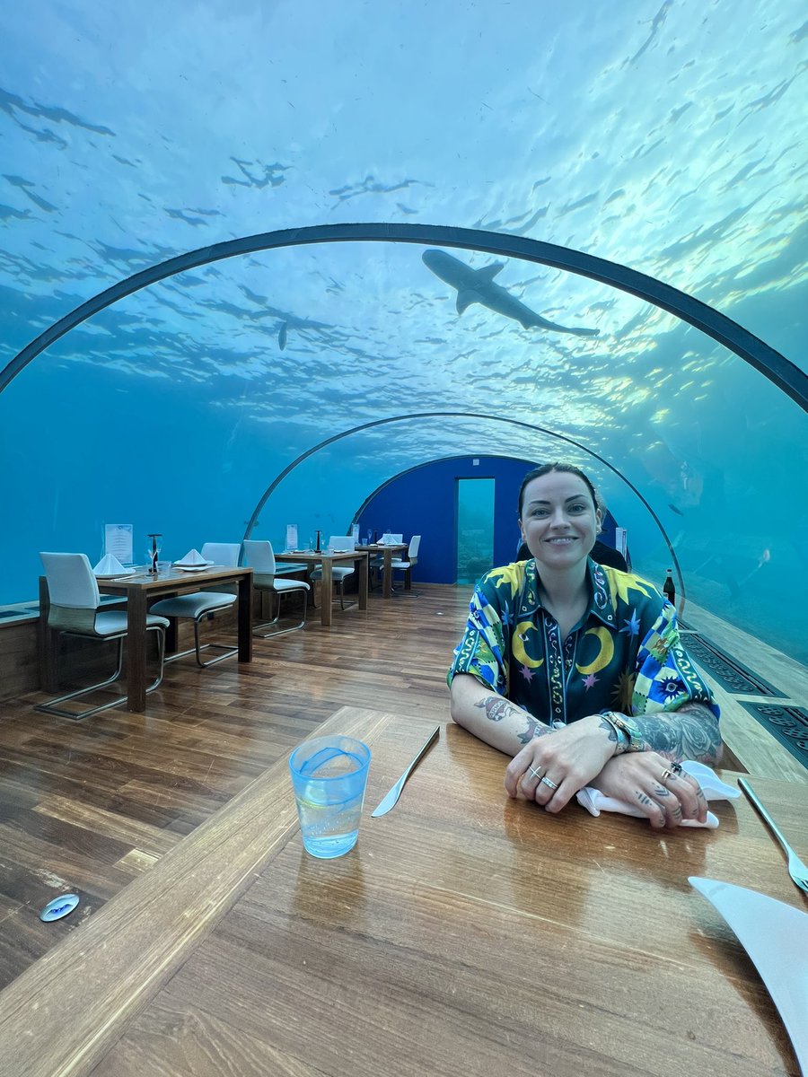 𝗔𝗠𝗬 𝗠𝗔𝗖𝗗𝗢𝗡𝗔𝗟𝗗 tweet media