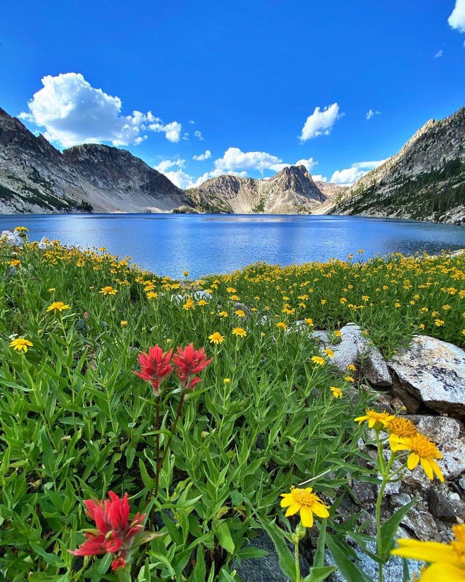 Good morning!😊
Sawtooth Lake,  Idaho!⛰⛰⛰🌺🌾