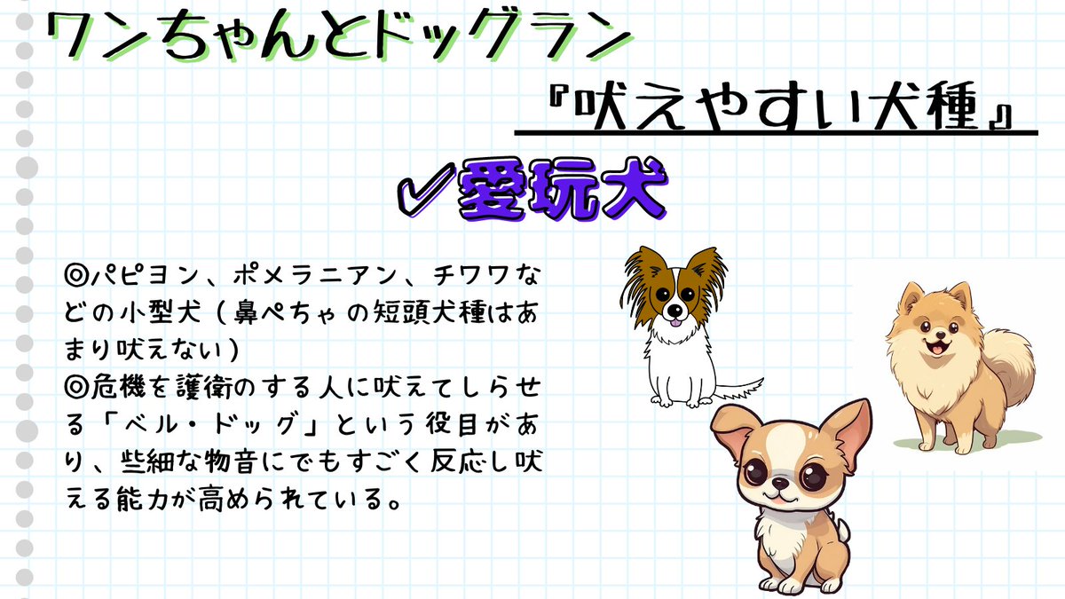 mochimaruza2ga9's tweet photo. ワンちゃんと吠える理由2⃣

⚫️吠えやすい犬種

✅愛玩犬：パピヨン、ポメラニアン、チワワ

✅遊牧犬：ボーダー・コリー、コーギー

✅狩猟犬：テリア、ビーグル、ダックスフンド

✅日本犬：柴犬など

#犬好きさんと繋がりがりたい #犬のいる暮らし #犬のいる生活 #犬好き #犬 #吠える https://t.co/mrkfcqWdv3