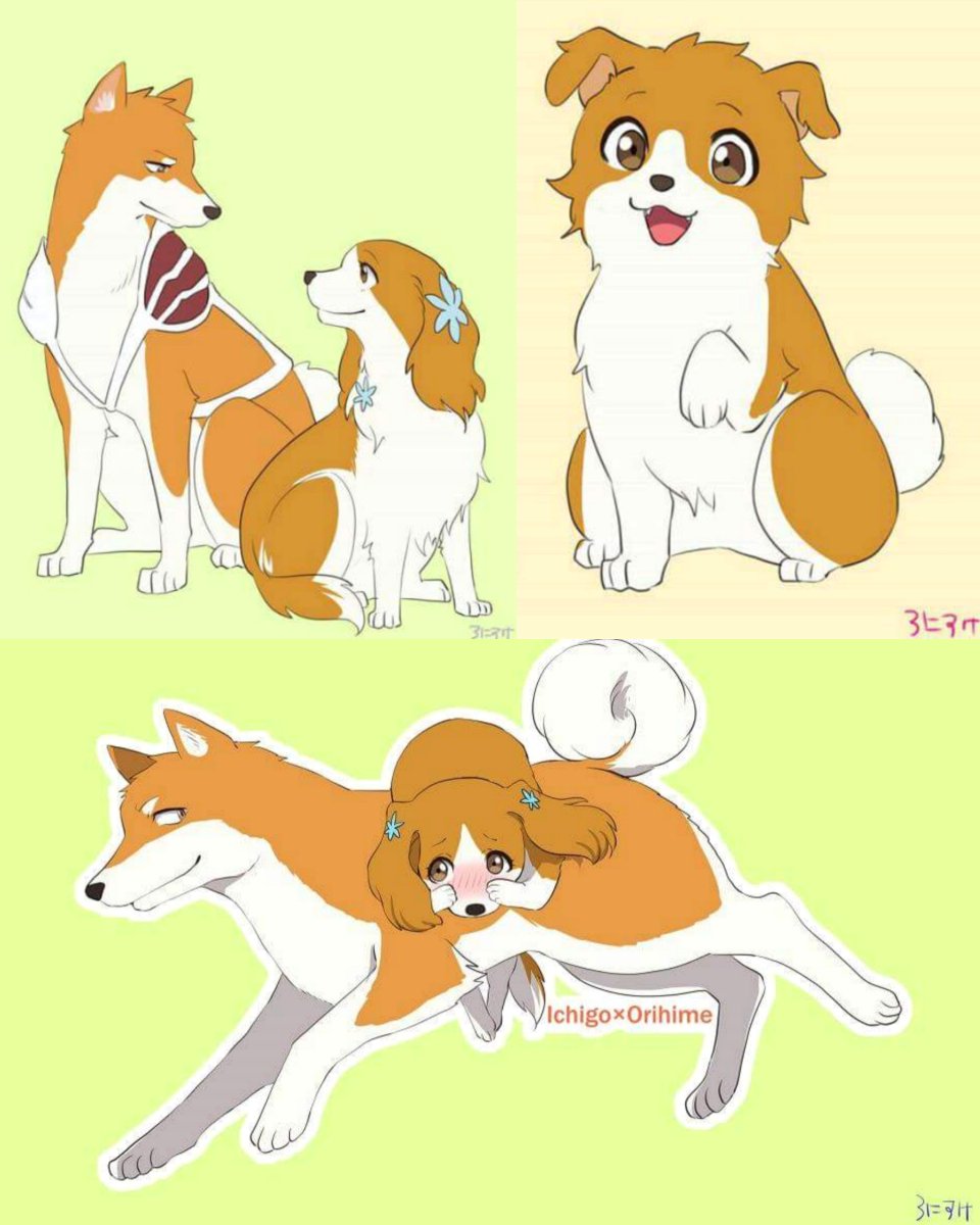 Família Orange cachorrinhos☺️❤️

cr. ao artista #Ichihime #BLEACH