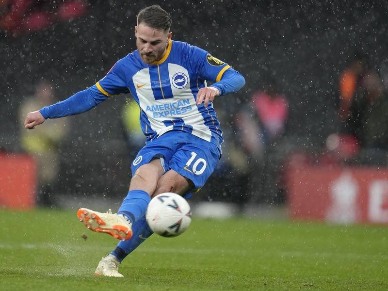 Braden (Fan) 🐦‍🔥 tweet media