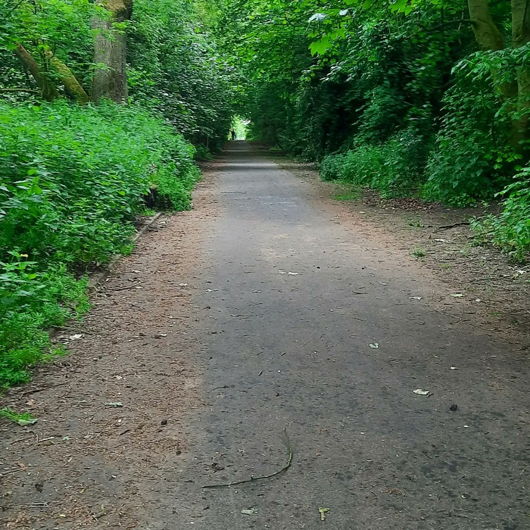 Day 11 of #30dayswild and a short walk to check out the local flora and fauna. Got a nice pic of a tree after a buzzard had flew off😑
#wildlifetrust