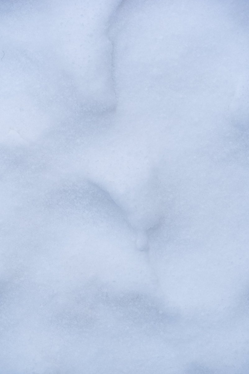 adrian_handzel's tweet photo. | Melting Snow |

December 2022 https://t.co/odnnxCLAoA