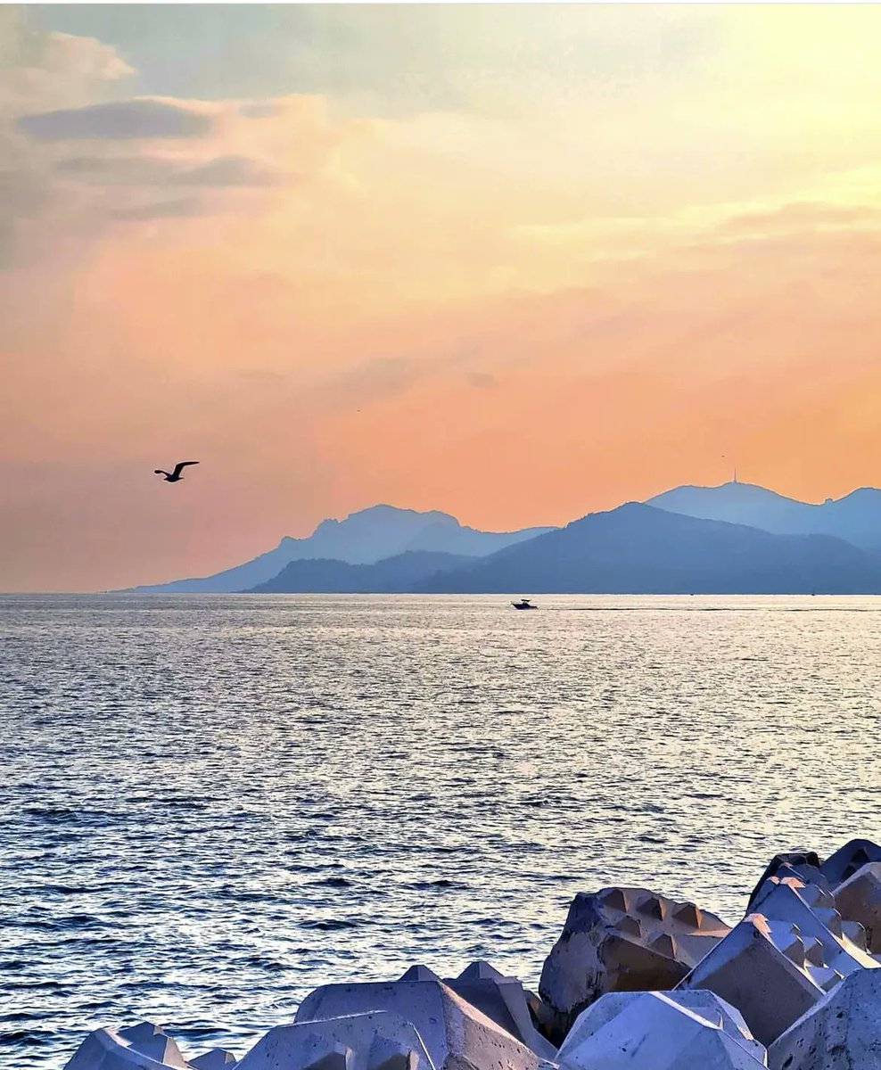 Cannes_France tweet picture