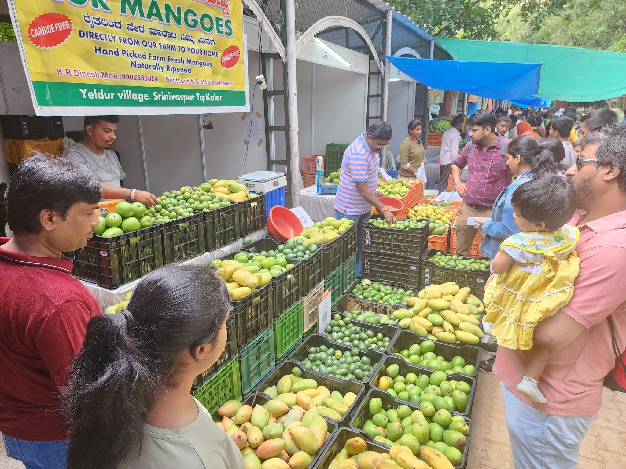 Dr. Rohini Srivathsa on Twitter ""Mango Mela" at Bangalore's iconic