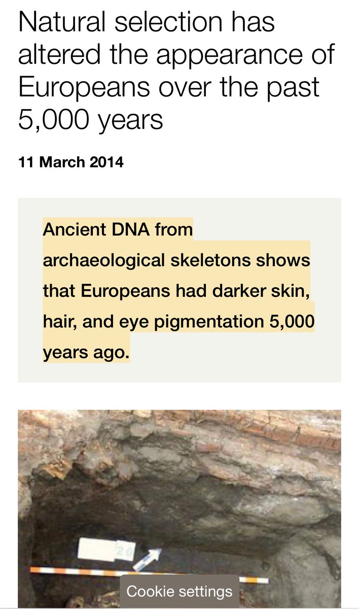 Some Europeans were “Black” as late as the Bronze Age.

“Direct evidence for positive selection of skin, hair, and eye pigmentation in Europeans during the last 5,000 years' in the journal Proceedings of the National Academy of Sciences (PNAS).”