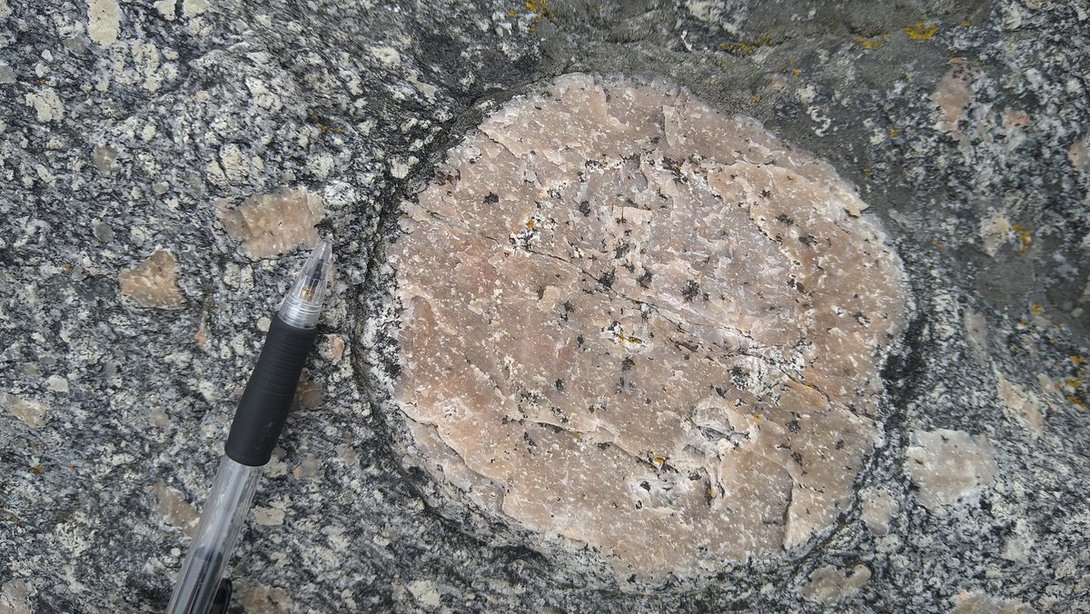 Hugo van Schrojenstein Lantman tweet media