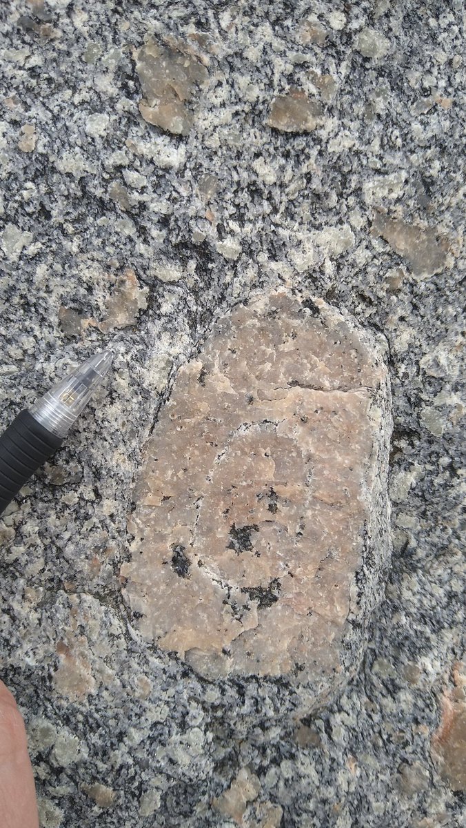 Hugo van Schrojenstein Lantman tweet media