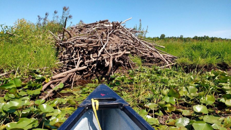 OntarioParks tweet picture