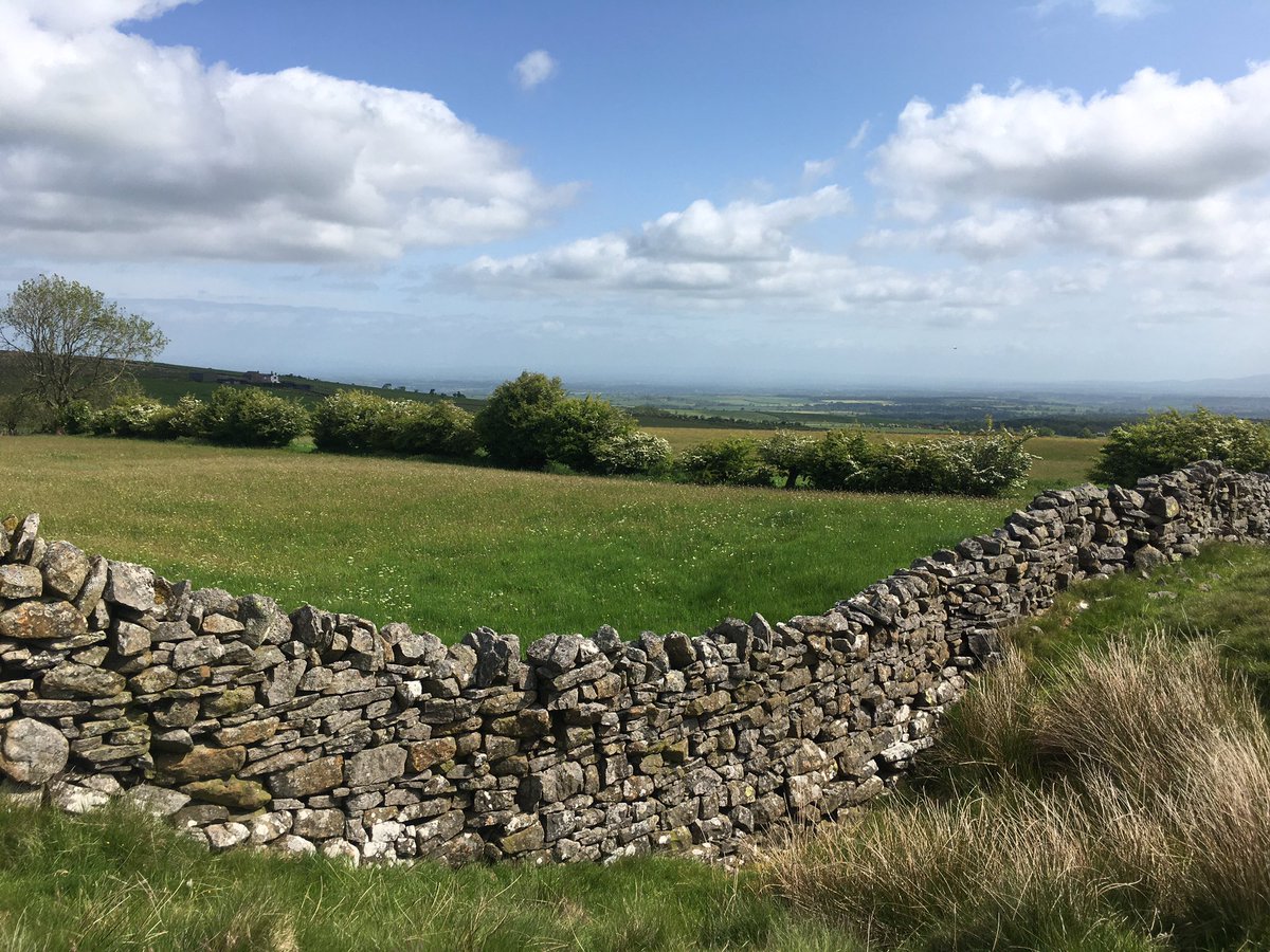 KathRSmart's tweet photo. Looking over fields of flowers towards the Solway https://t.co/KDMo7FZ0Lk