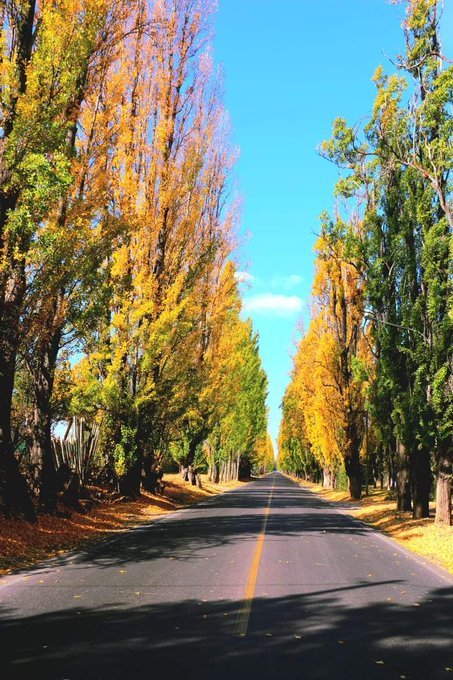 Darksider tweet media