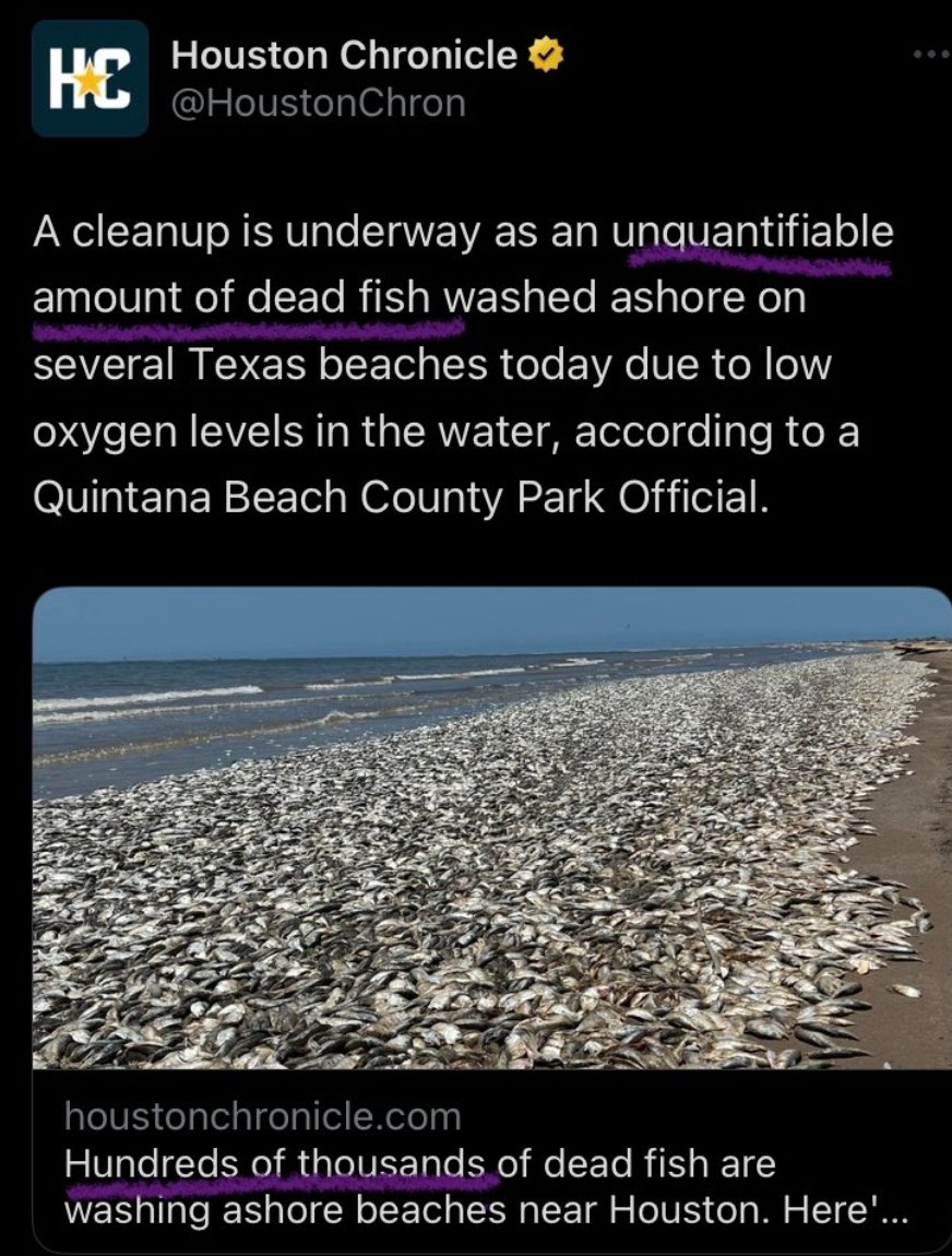 MichellePurdie7's tweet photo. @MrMatthewTodd Thousands of Dead Fish washed up on Texas Shore June 9, 2023, due to higher Ocean Temperature and lower oxygen. #ClimateCrisis #OceansOverheating #ClimateExtinction #RunningOutOfTime #cndpoli #skpoli #worldpoli https://t.co/6I83772XbE