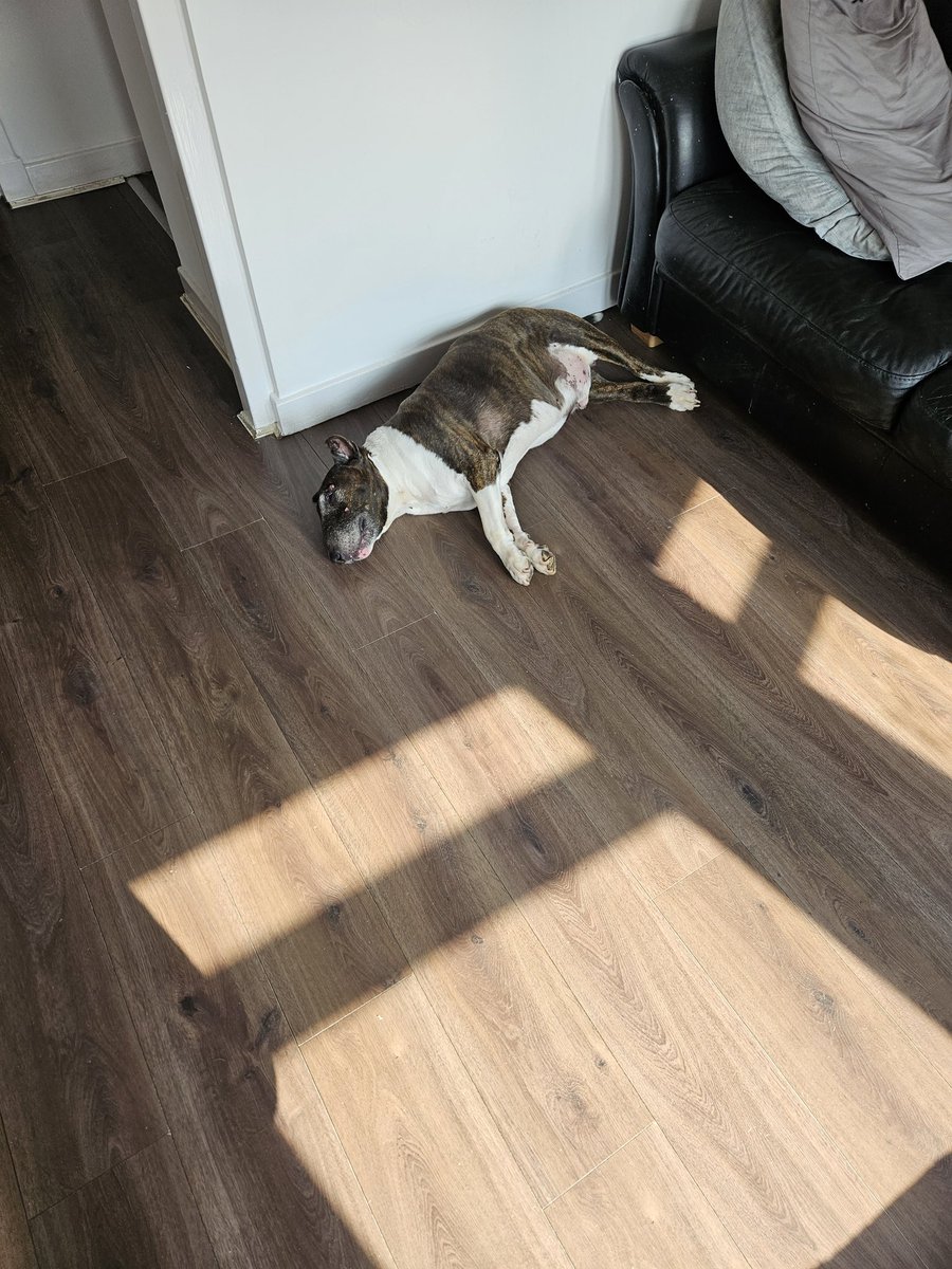 THE OLD YIN LOVES A BIT OV SUN BATHING