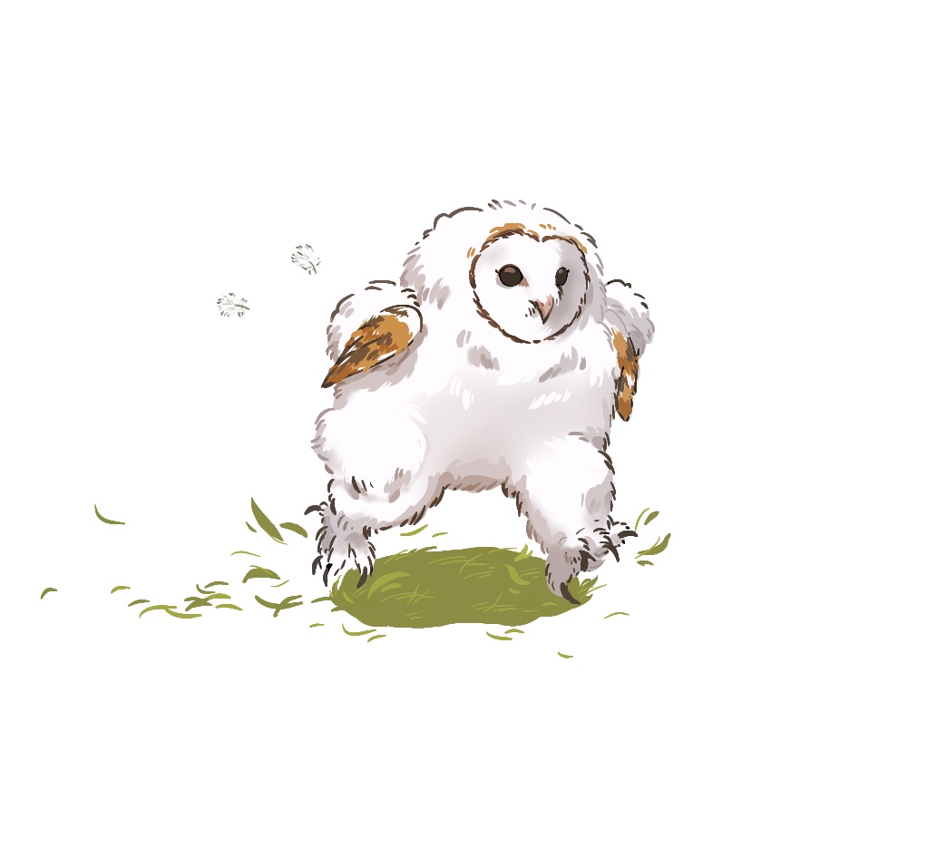 SnowSoel_'s tweet image. 공부하기 싫을 때는...애기 올빼미를 그린다
총총총  ( (🦉
#owl #babyowl #doodle