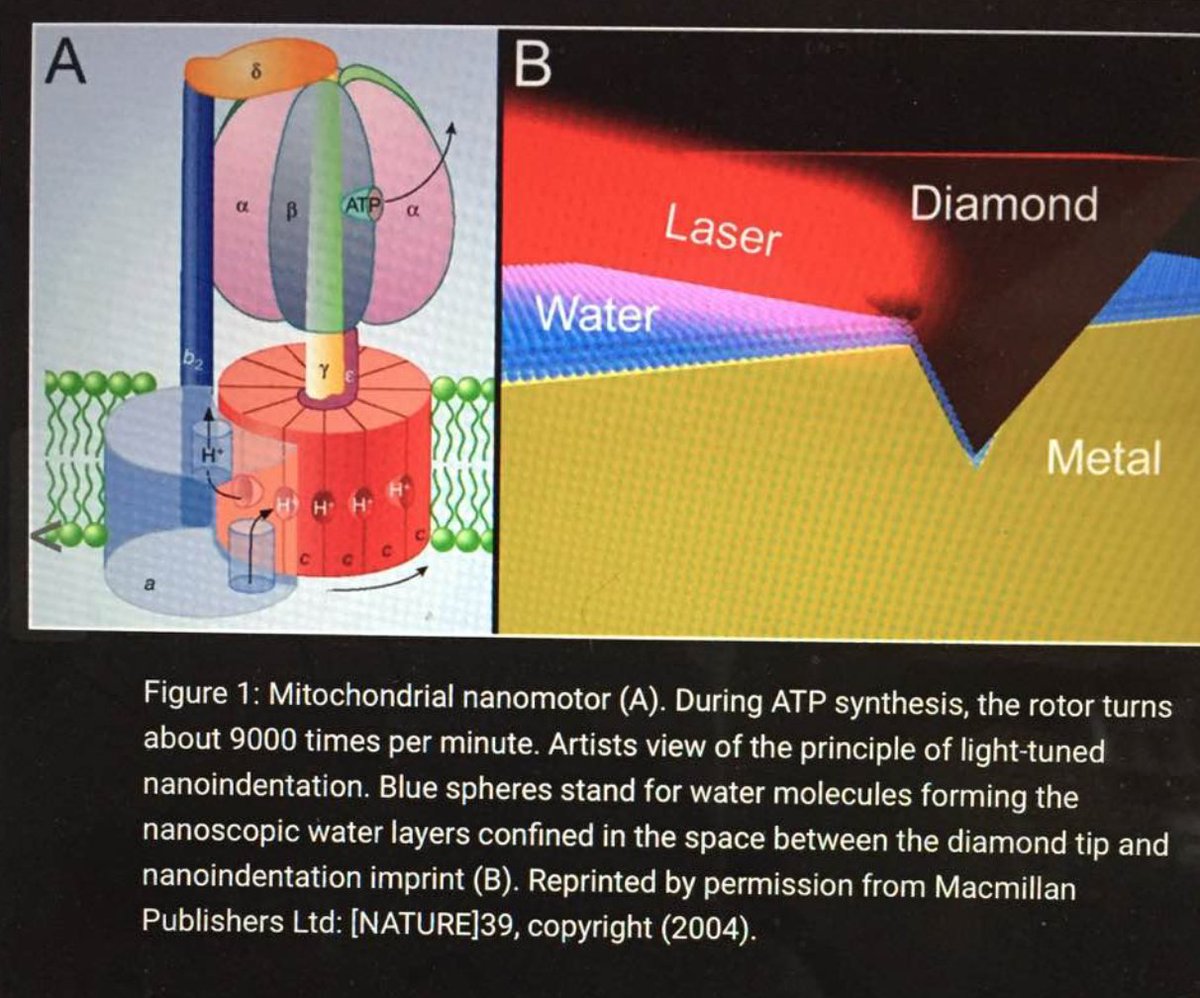 1 What Happens When A Dermatologist From High Latitude Examines The 1-what-happens-when-a-dermatologist-from-high-latitude-examines-the