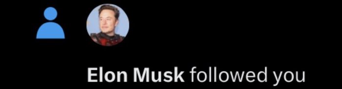 Not Elon Musk tweet media