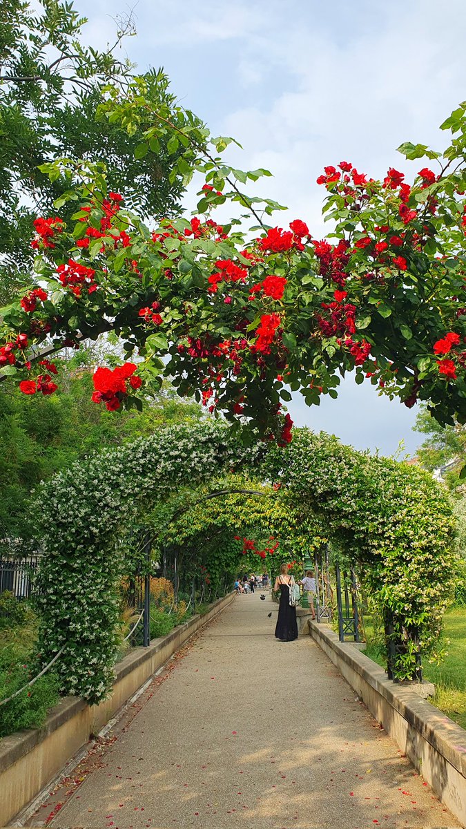 📸 Promenade Pereire 🌹🌿🌹🌿🌹🌿🌹🌿🌹
#Paris17