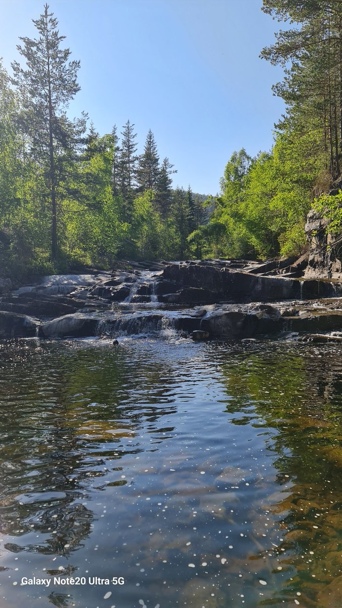 NeonFly007's tweet image. Forfriskende bad. Langt inni skauen.
#bade #skogsvann #tjern