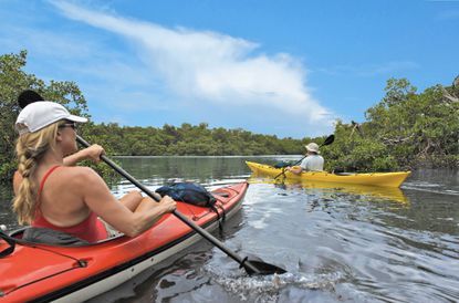 Exploring the Everglades by Kayak: Embracing the untamed beauty of this unique ecosystem, where every stroke propels me deeper into a world of wonder and discovery🏞️