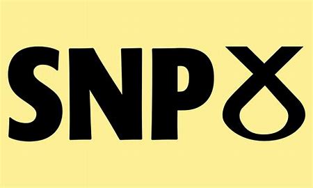 @lindamccorr #StillSNP #SNPForMe