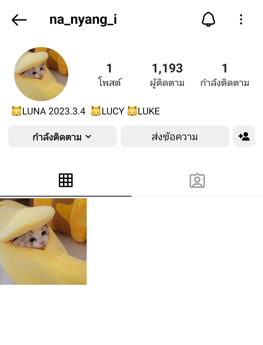 the813Degrees's tweet image. คุณปะปี๊เค้าเปิดตัวลูกสาวผ่าน ig แล้วด้วย ทุกคนฟอลเลย คุณพ่อแมวเขาเริ่มแล้ว ㅠㅠㅠㅠㅠㅠㅠㅠ แล้วชื่อลูก LUNA LUCY LUKE น่ารักมากกกกก