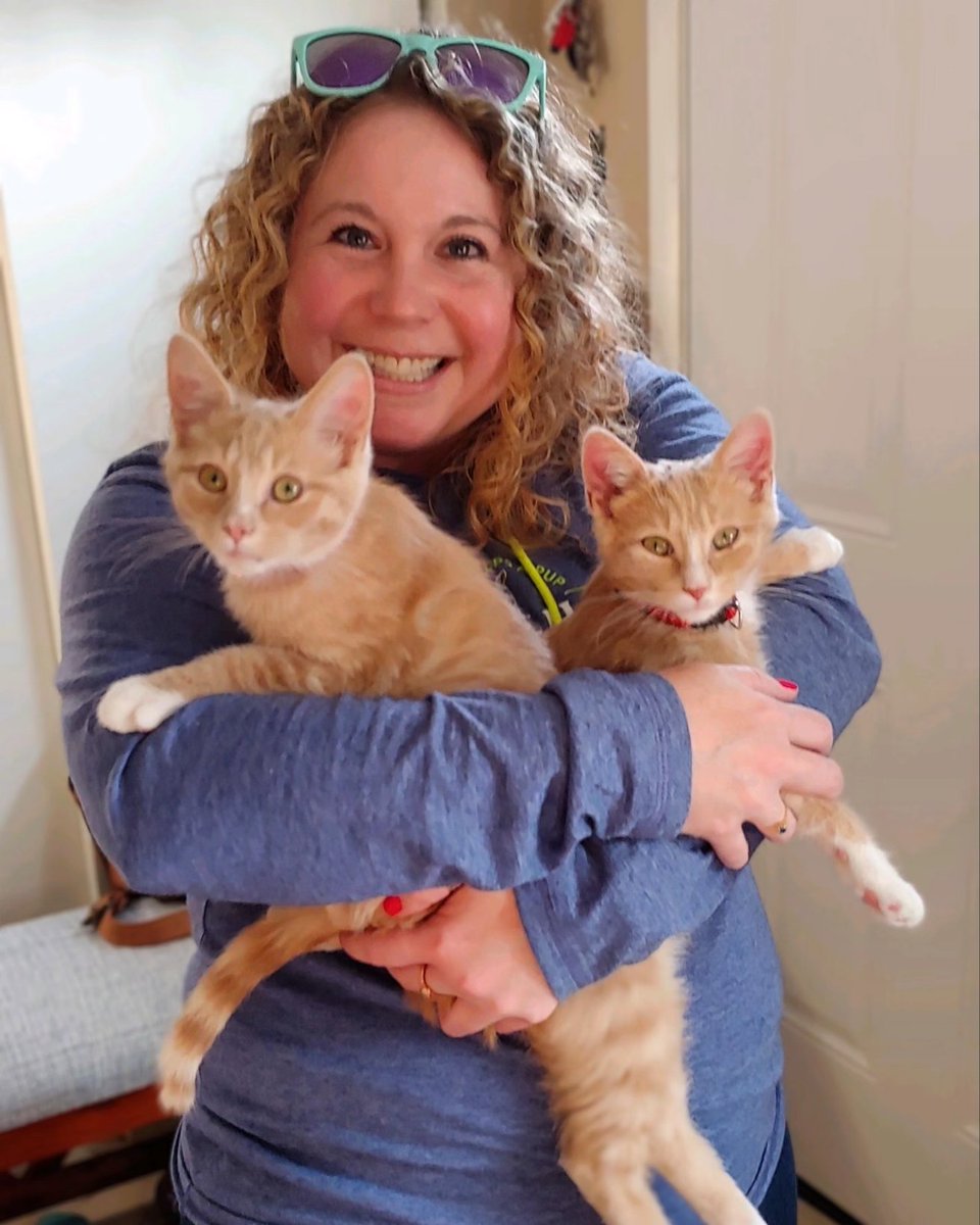 HBredlegs's tweet photo. Contacts signed, we're home! Newest draft picks from @JosephsLegacy #GotchaDay #WHODEY @Chewy @Bengals #Caturdey #Caturday https://t.co/kGxlUYpKPV