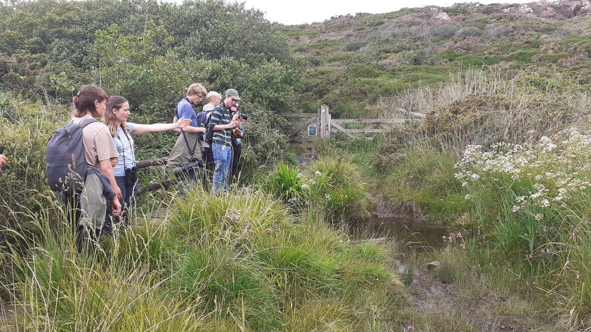 Great time on the Lizard yesterday leading a #BTOYouth walk with @carla_hill99. Fantastic to have so many people there, spotting and sharing their knowledge on everything from birds to butterflies, dragonflies, plants and even springtails!