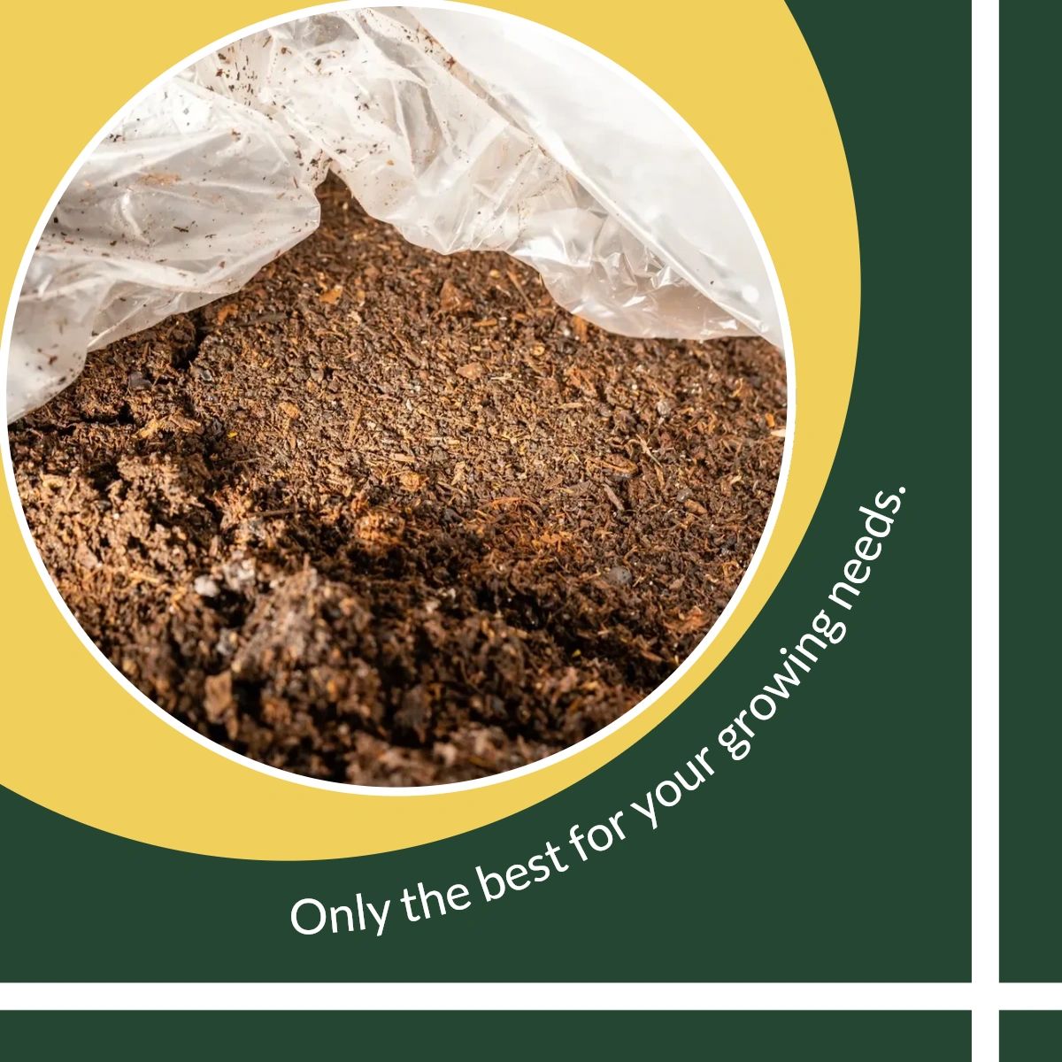 delta_worms's tweet photo. Whether you're an experienced vermiculturist or just starting out, Delta Worms has everything you need to create healthy, thriving gardens and farms. Join the growing community of organic growers today! https://t.co/WXmMvy0fvL