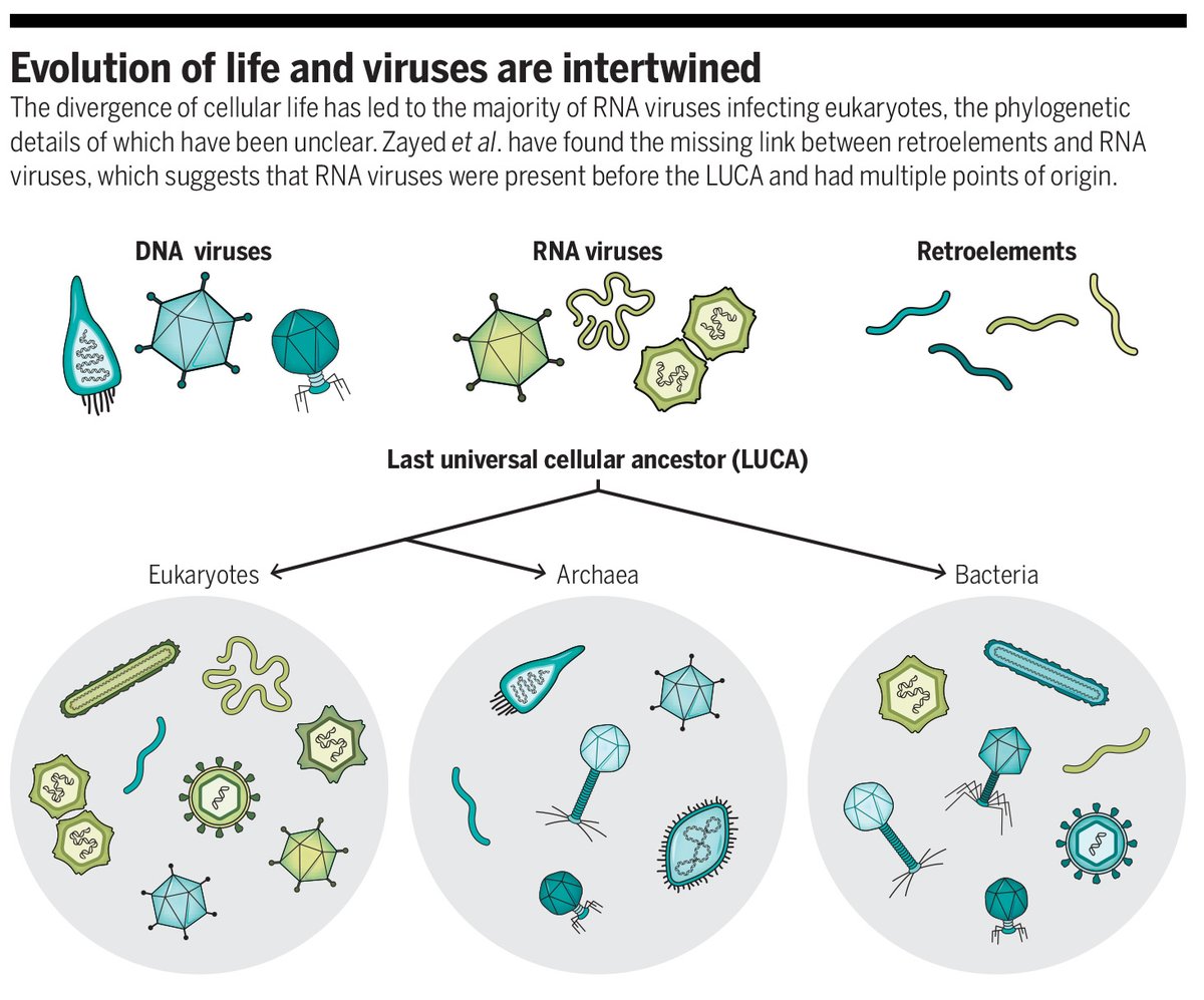 Science Magazine tweet media