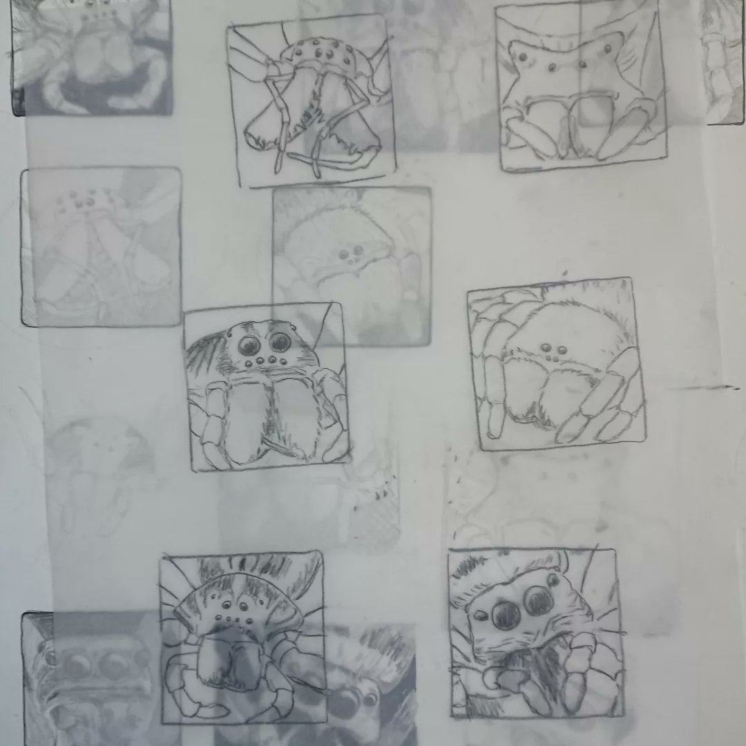 FMinifera's tweet photo. #Spider portrait #etchings.

One intensive weekend, 6 plates at a time. Many steps, lots of planning and sketching, lots of inverted thinking ... Some structures came out nicely, others not so much. I learned a lot, still love it!

#pisaura #Eresus #hogna #tetragnatha #thomisus https://t.co/VXt6V0zmiq