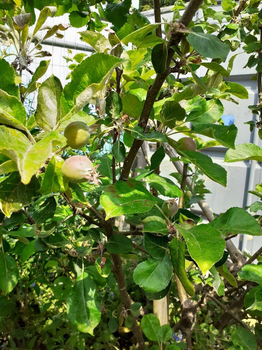 Ceri @ the Co-op tweet media