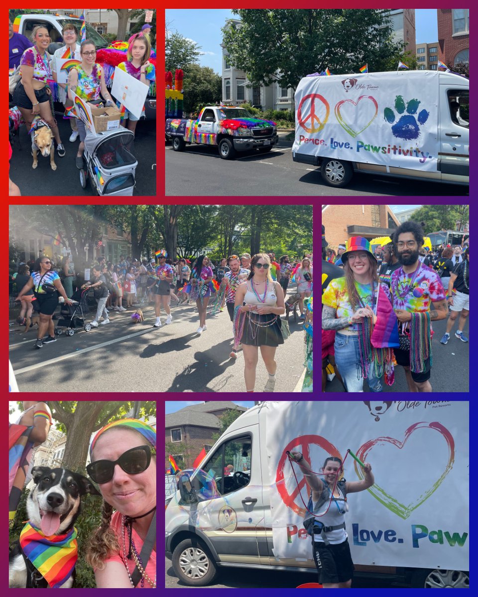 We had a fantastic day yesterday walking in the Capital Pride Parade! It was beautiful to be in the company of so many great companies and organizations supporting the event.  Thanks to the amazing clients and staff ...AND PUPS...who joined us.  We bark with PRIDE!