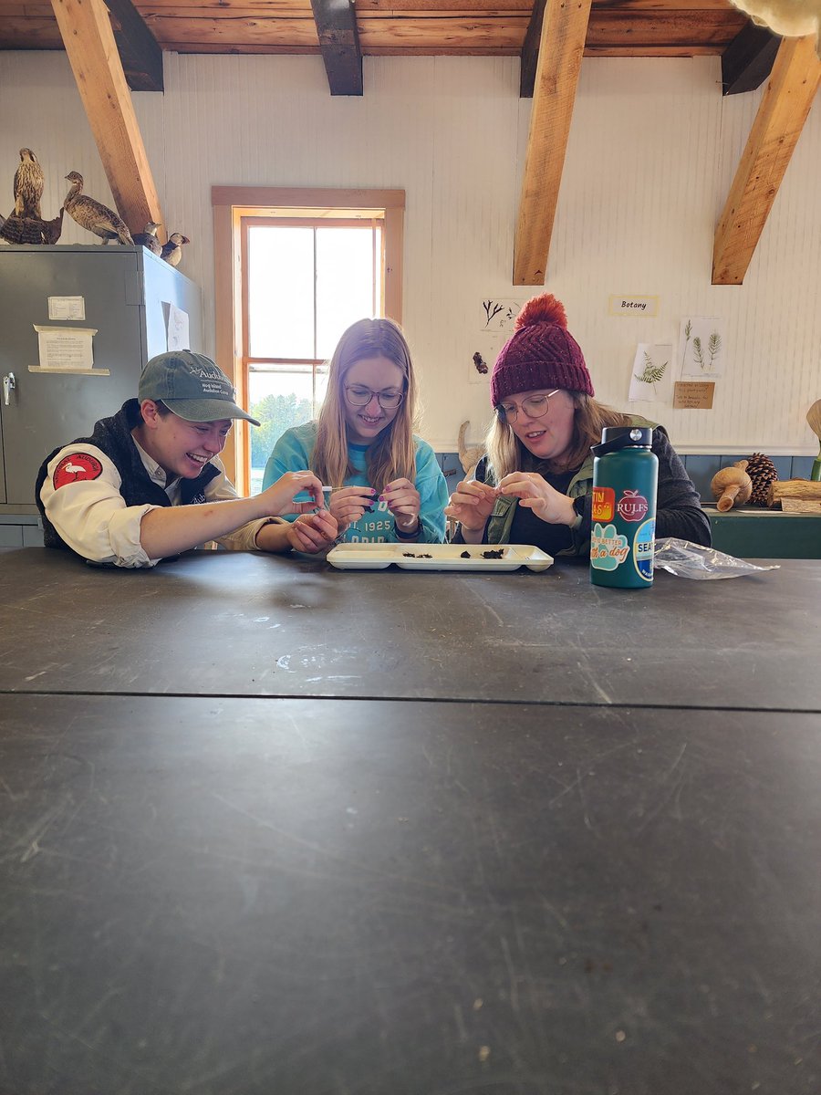 Add Hog Island, Maine #auduboncamp to your bucket list! It won’t disappoint!!