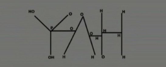 In our genetic code, there’s a double helix with sulfur bridges repeating every 10, 5, 6, 5 times.

10, 5, 6, 5 corresponds to YHWH/YHVH in Hebrew & it’s encoded into ALL of our DNA. YHVH in Hebrew glyphs translates to “Behold the hands. Behold the nails.” 👀

Look familiar?