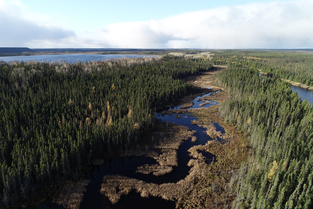 GEO Morphix Ltd tweet media