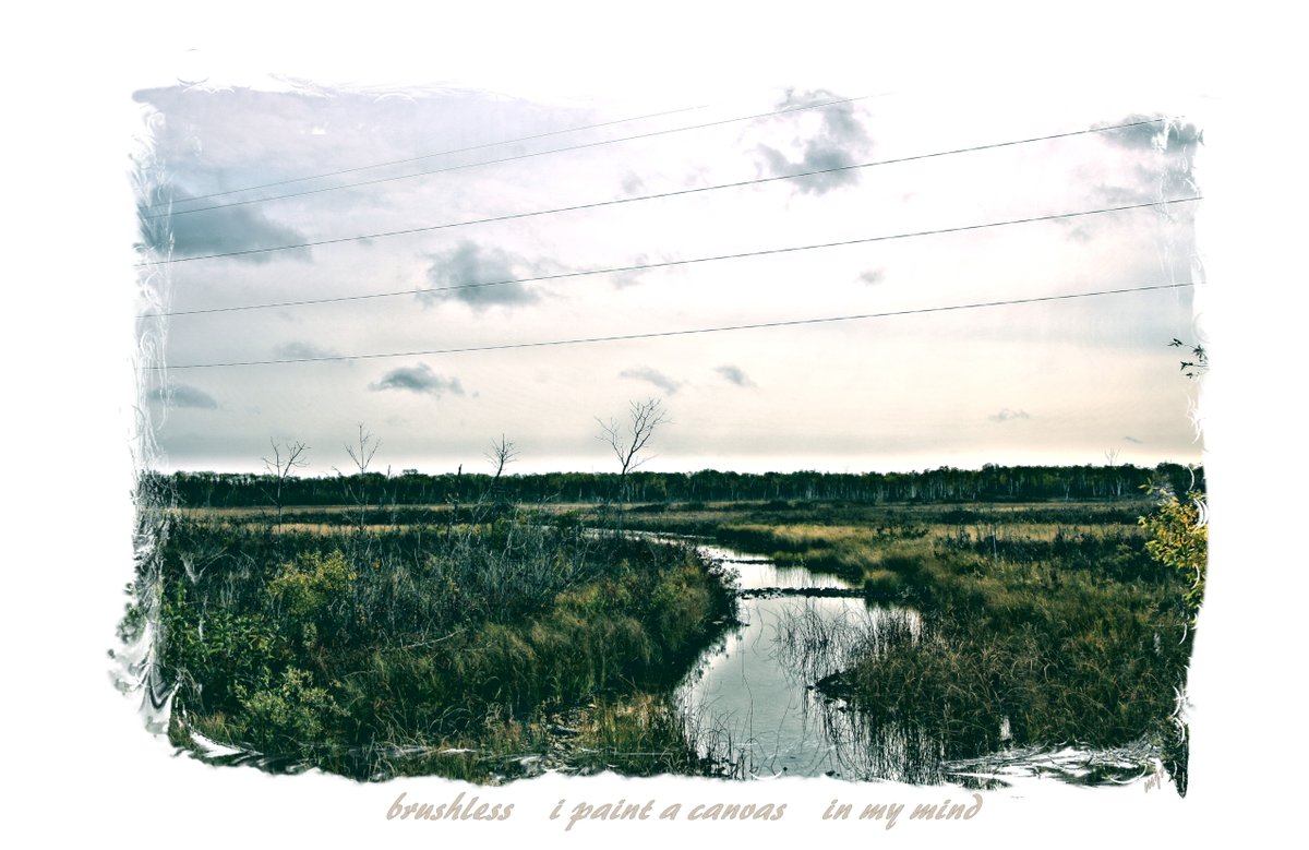 Mike Rehling tweet media