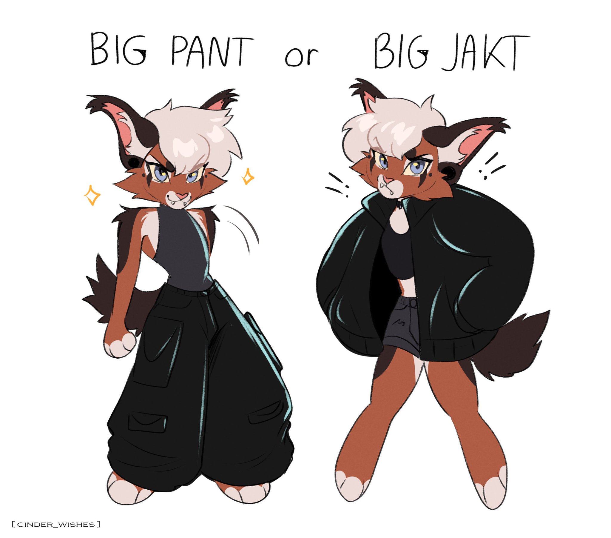 cinder🌻🇺🇦 on X: big pant or big jakt?? t.cohYAzszZcYg  X