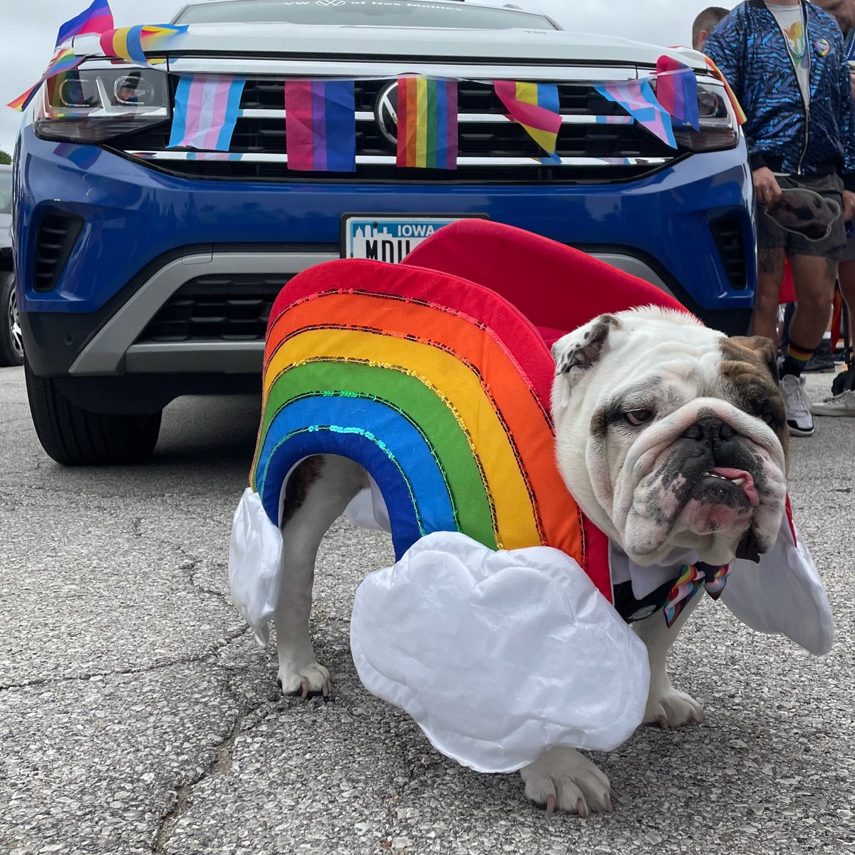 DrakeUGriff's tweet photo. Thanks to my good friends Karen and Lori for making sure the #Griffmobile was decorated properly for the parade. Love you, friends! #IAmSoProudToBeYourDog #DSMHometownDog @DrakeUniversity @DrakeAlumni https://t.co/ayqrrUXeG0